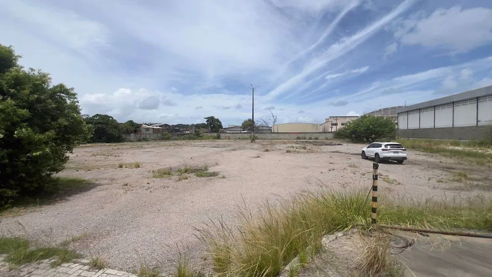 Terreno, 9000 m² - Foto 5