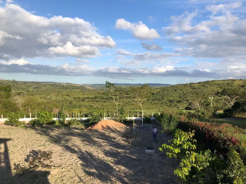Terreno, 8192 m² - Foto 5