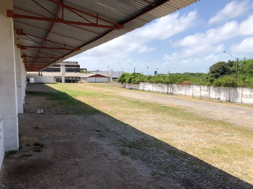 Terreno, 6600 m² - Foto 8