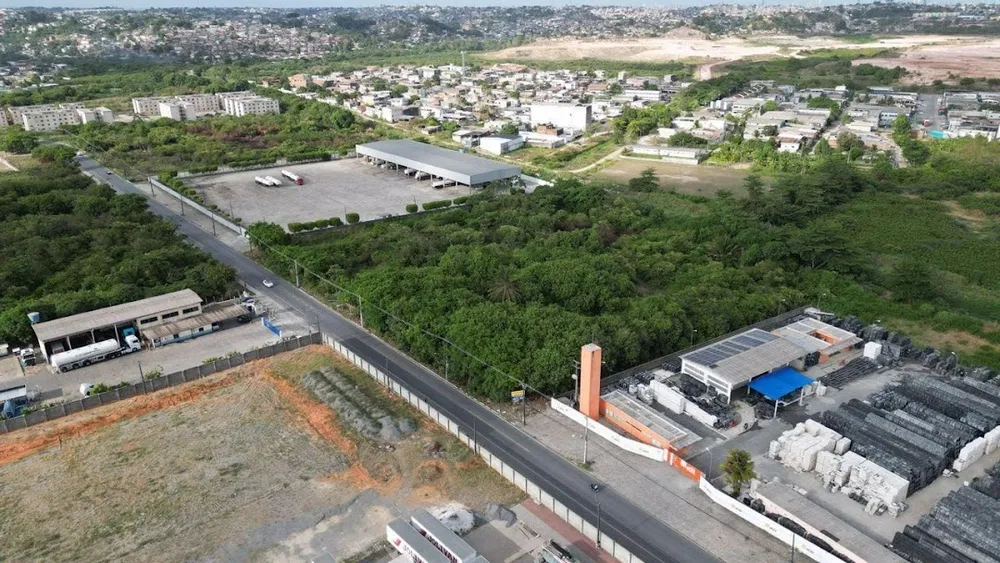 Terreno, 2 hectares - Foto 6