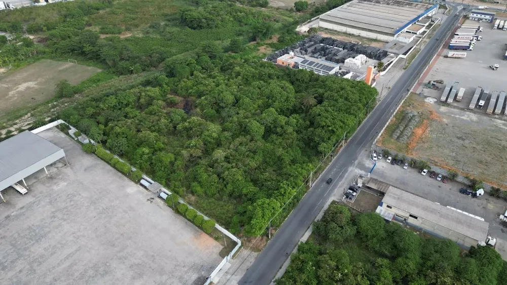 Terreno, 10000 m² - Foto 5