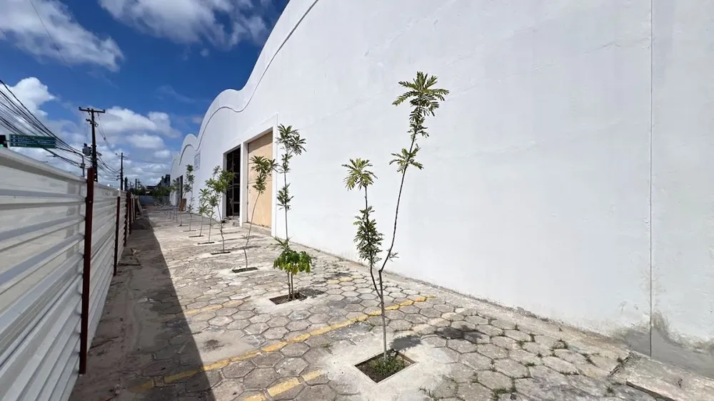 Depósito-Galpão, 3347 m² - Foto 3