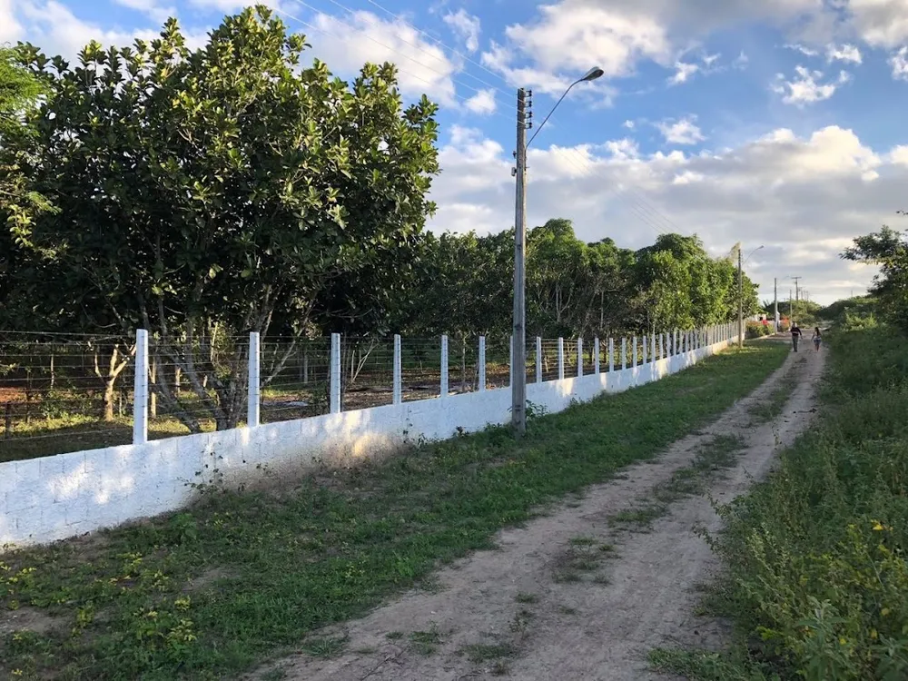 Terreno, 8192 m² - Foto 7