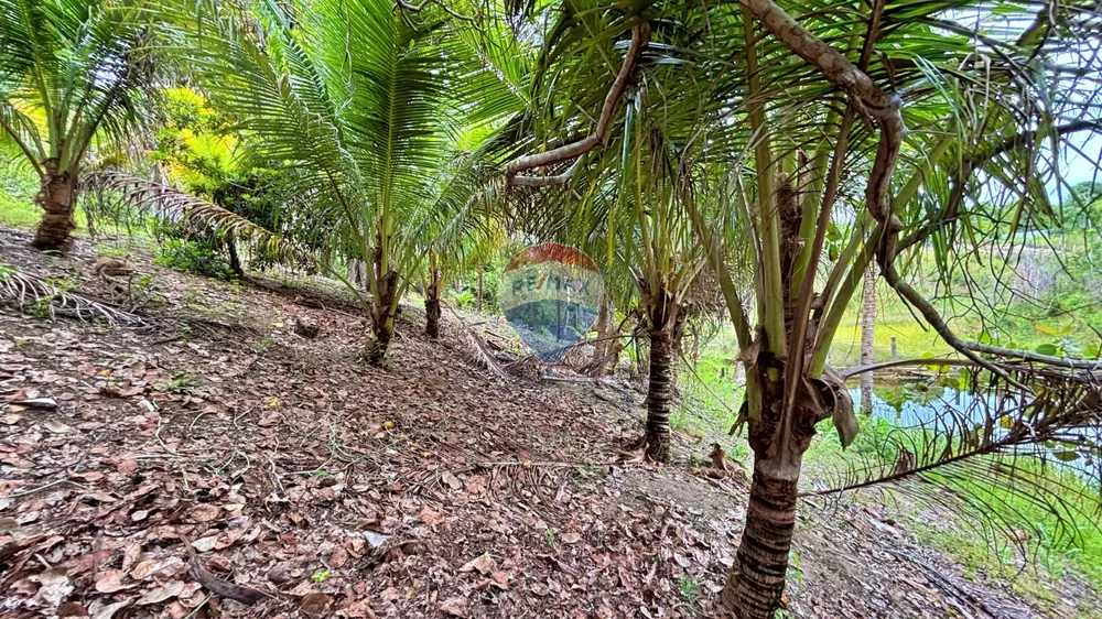 Terreno, 300 m² - Foto 11