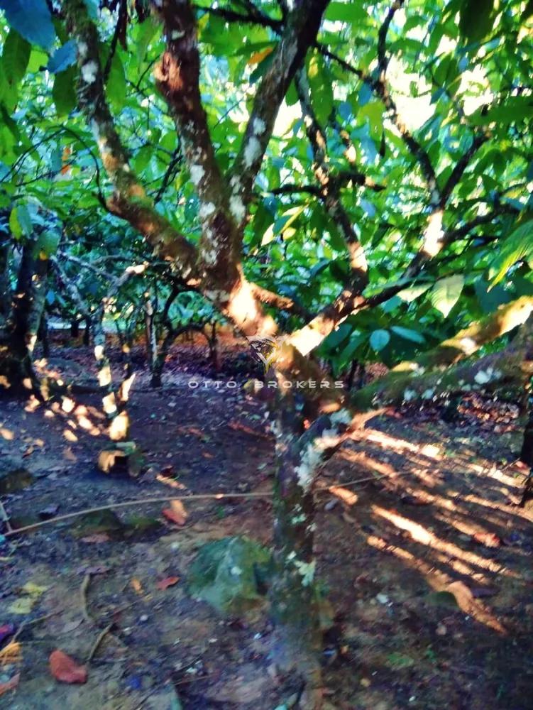 Sítio, 2 quartos, 77 m² - Foto 16