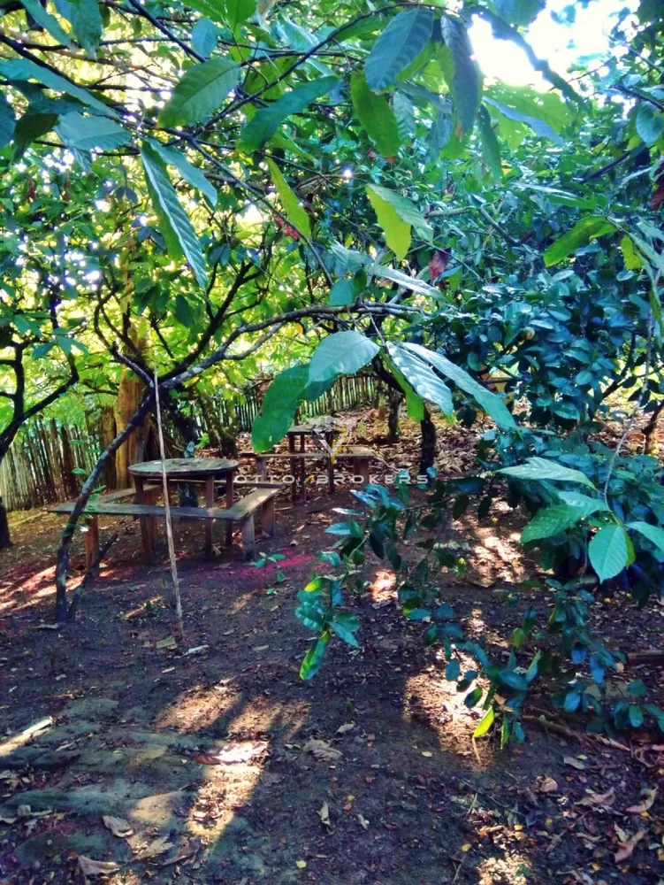 Sítio, 2 quartos, 77 m² - Foto 18