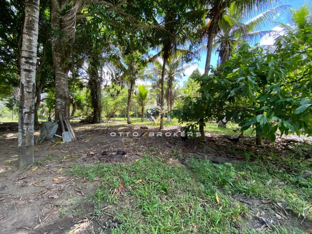 Sítio, 2 quartos, 8 hectares - Foto 11