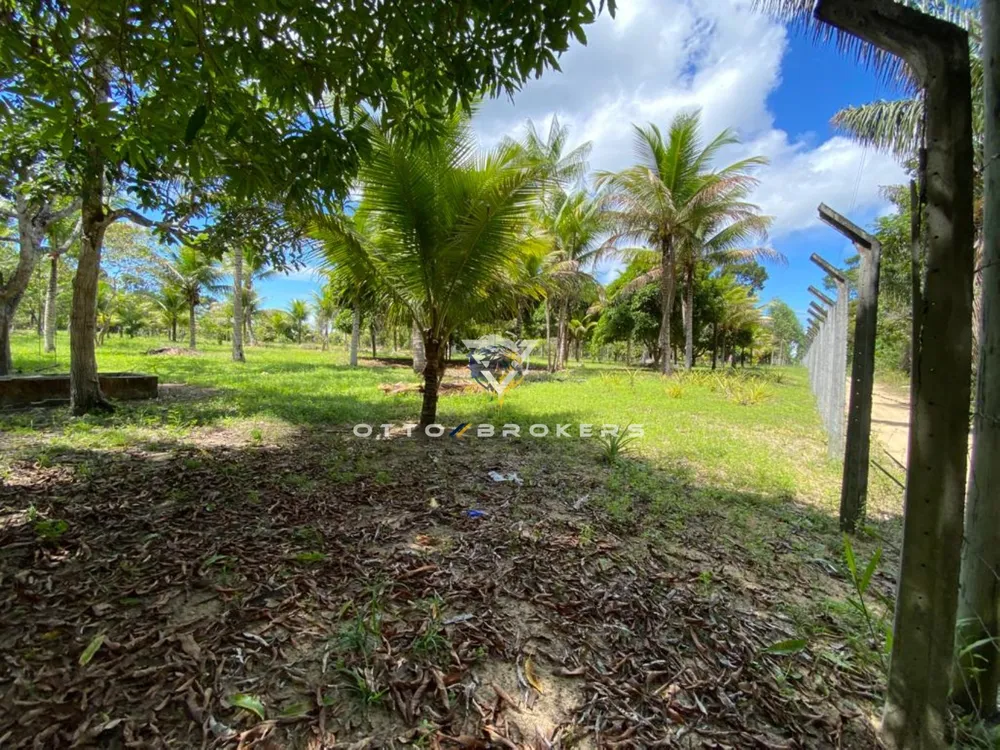 Sítio, 2 quartos, 8 hectares - Foto 14