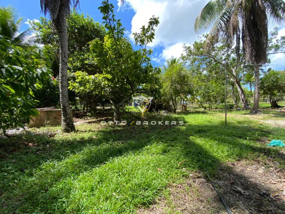 Sítio, 2 quartos, 8 hectares - Foto 12