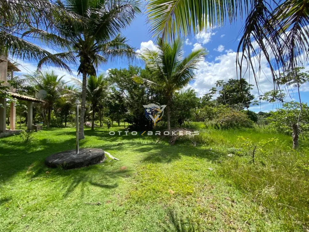 Sítio, 2 quartos, 8 hectares - Foto 7