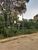 Terreno, 540 m² - Foto 2