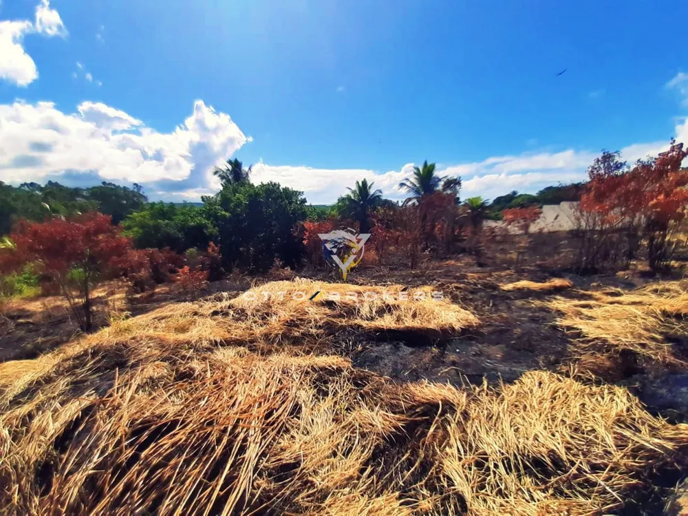 Terreno, 3000 m² - Foto 2
