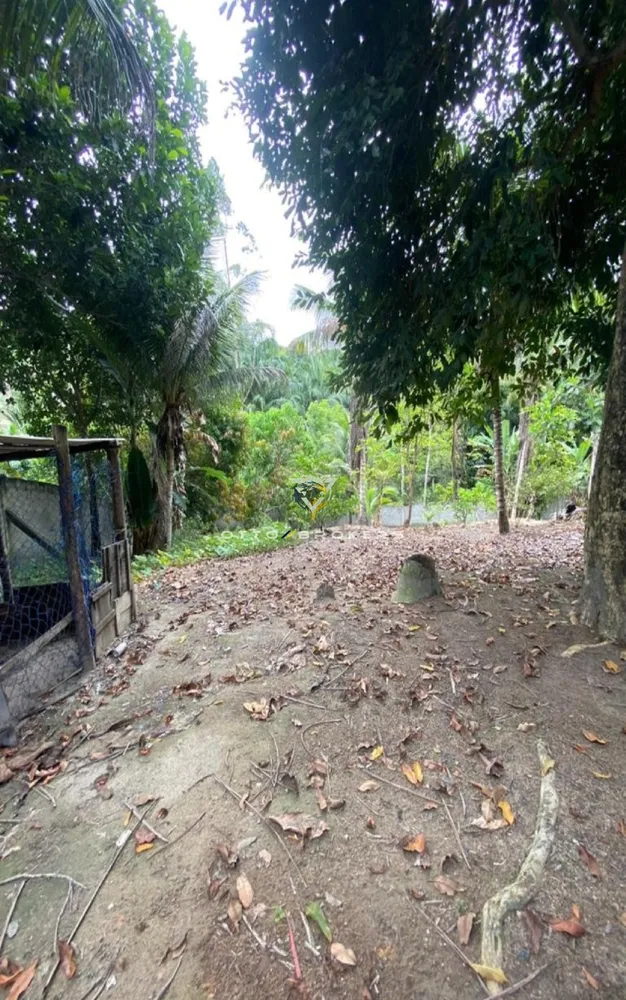 Sítio, 2 quartos, 300 m² - Foto 10