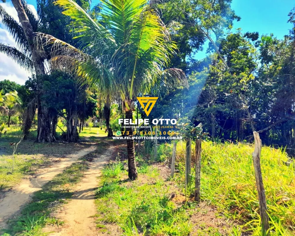Chácara, 2 quartos, 8 hectares - Foto 4