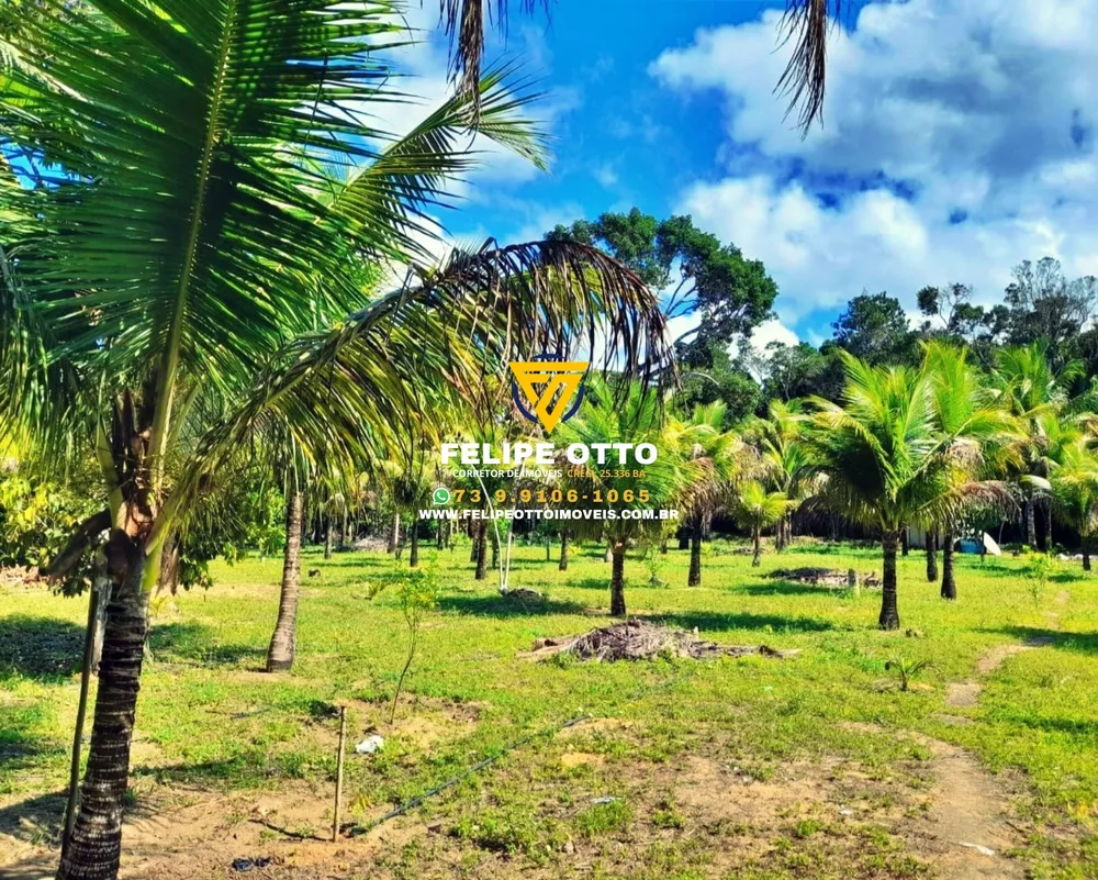 Chácara, 2 quartos, 8 hectares - Foto 9