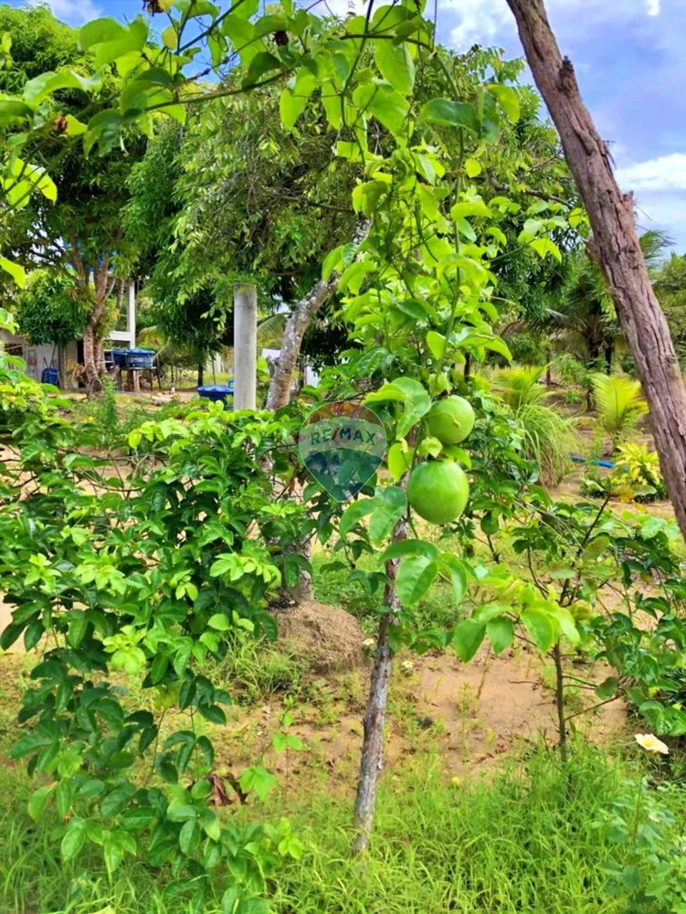 Sítio, 2 quartos, 100 m² - Foto 23