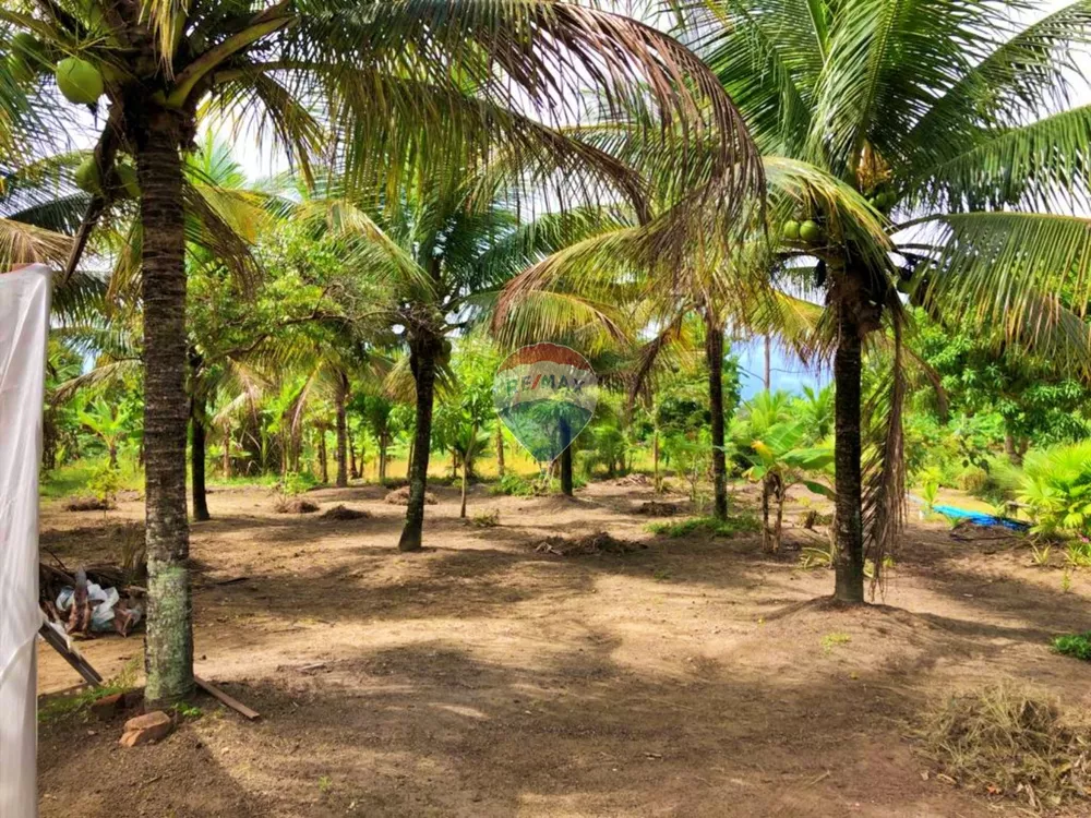 Sítio, 2 quartos, 100 m² - Foto 18