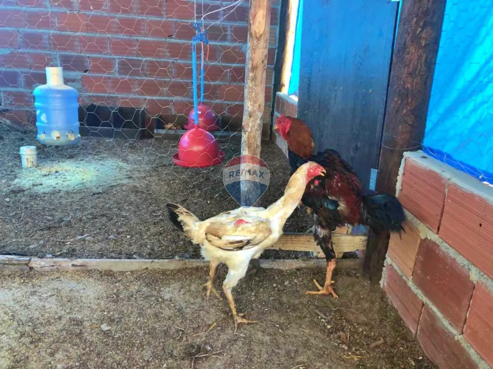 Sítio, 2 quartos, 100 m² - Foto 29