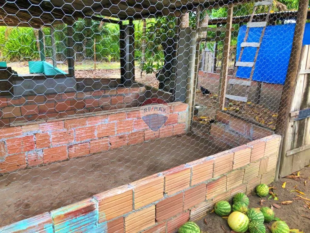 Sítio, 2 quartos, 100 m² - Foto 21