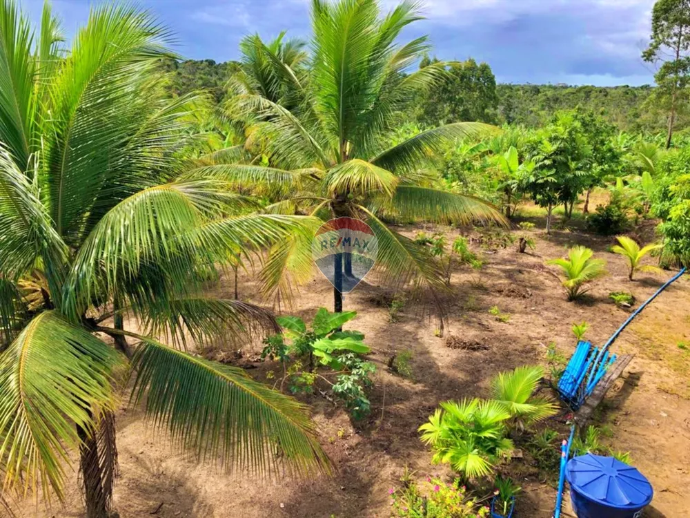 Sítio, 2 quartos, 100 m² - Foto 13