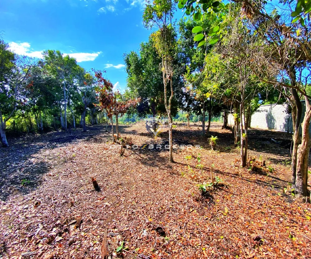Terreno, 600 m² - Foto 7