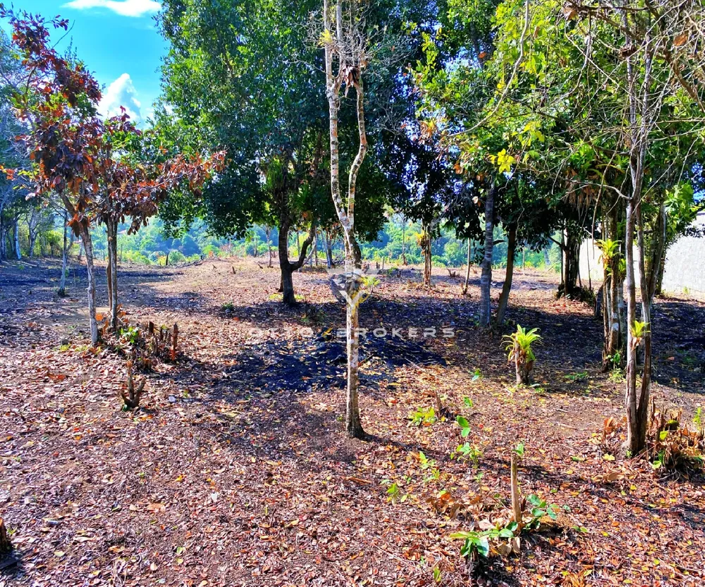 Terreno, 600 m² - Foto 5