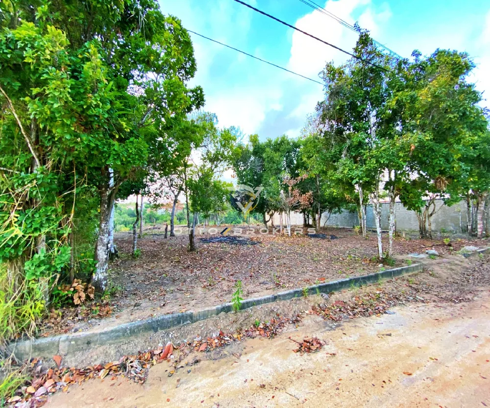 Terreno, 600 m² - Foto 3
