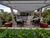 Apartamento, 2 quartos, 58 m² - Foto 10