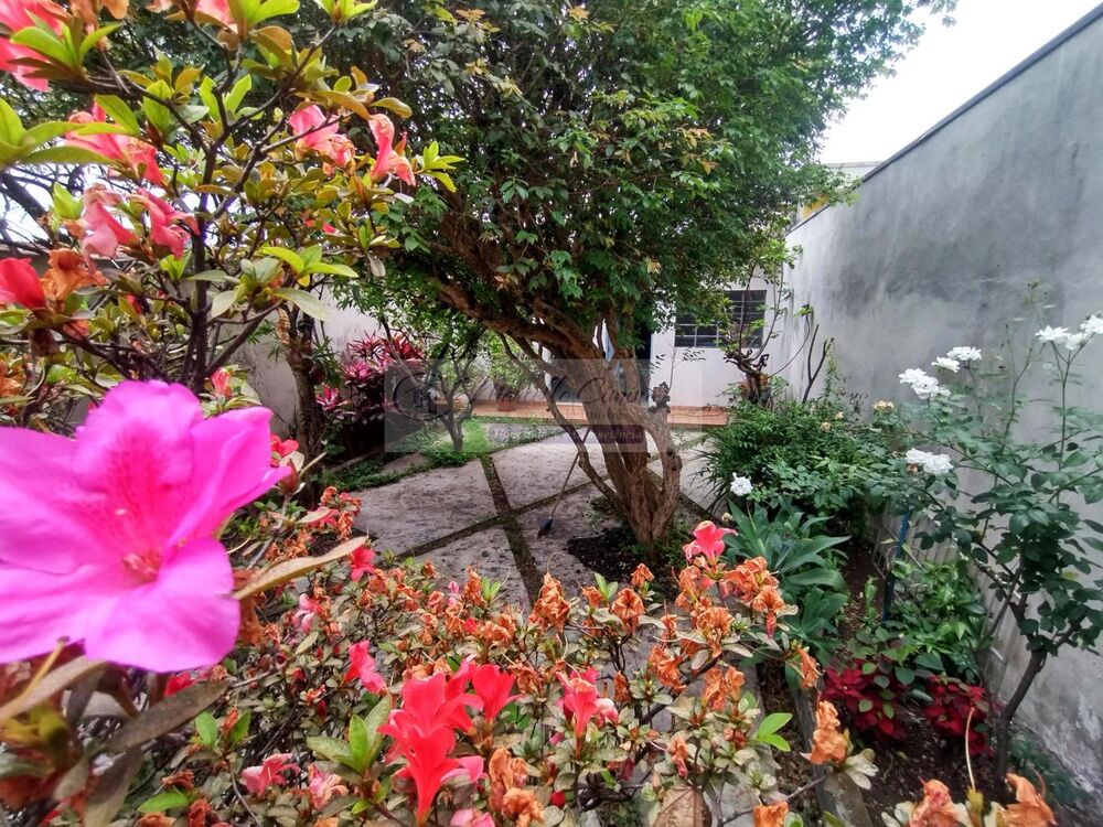 Casa, 2 quartos - Foto 9