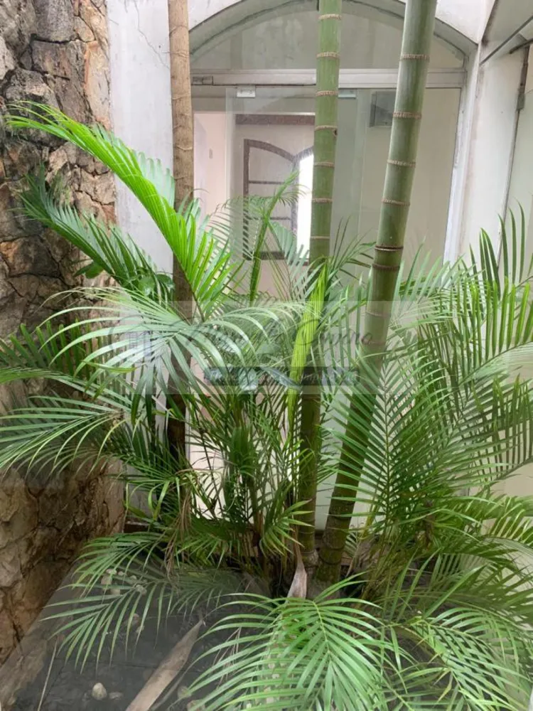 Casa, 3 quartos, 280 m² - Foto 4