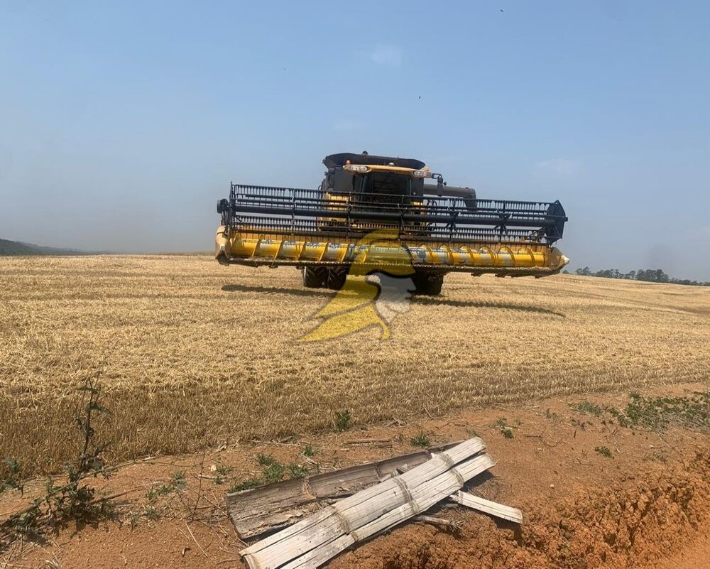 Fazenda, 288 hectares - Foto 3