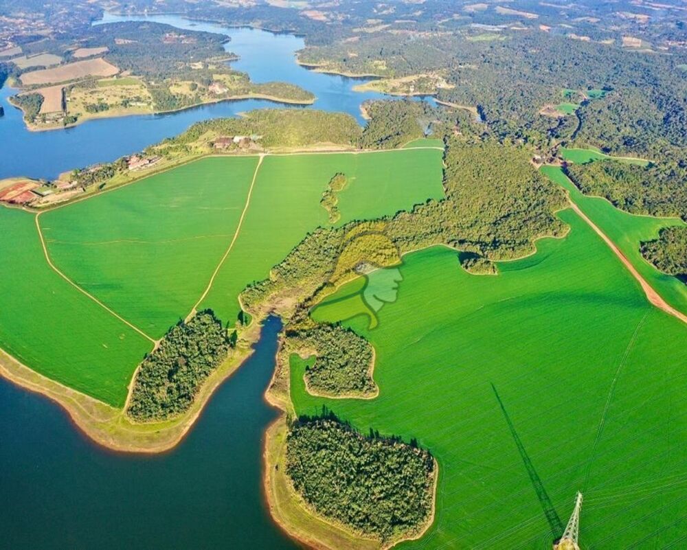 Fazenda, 288 hectares - Foto 2
