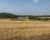 Fazenda, 288 hectares - Foto 4