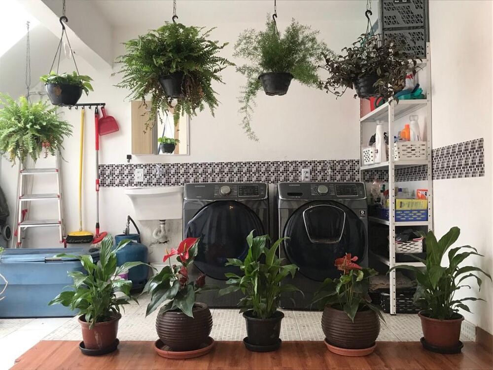 Casa, 3 quartos, 190 m² - Foto 5