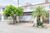 Casa, 3 quartos, 120 m² - Foto 1