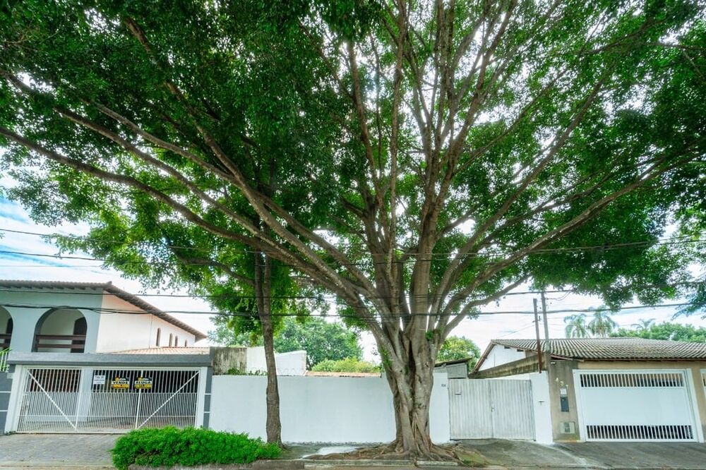 Terreno à venda, 403m² - Foto 5