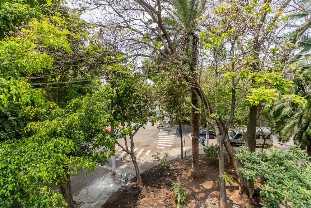 Casa, 3 quartos, 318 m² - Foto 7