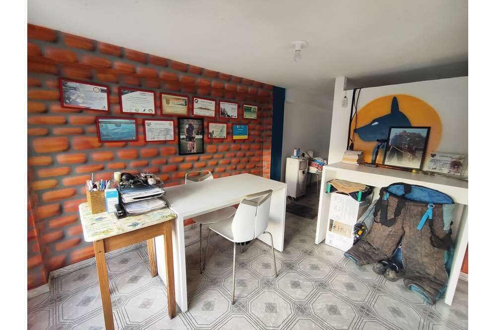 Casa, 6 quartos, 200 m² - Foto 6