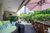 Apartamento, 3 quartos, 250 m² - Foto 6