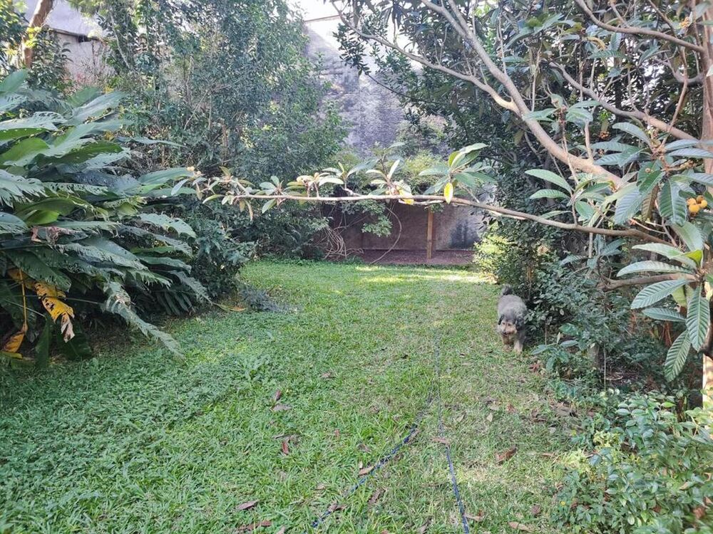 Terreno, 960 m² - Foto 5