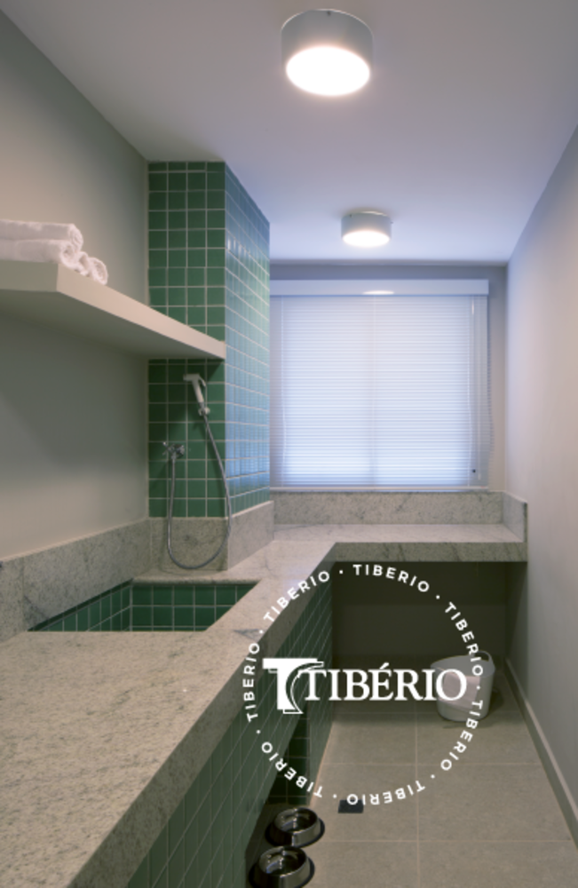 Apartamento, 3 quartos, 60 m² - Foto 5