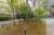 Apartamento, 3 quartos, 128 m² - Foto 3