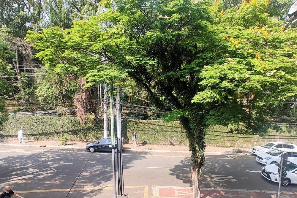 Prédio Inteiro, 120 m² - Foto 12