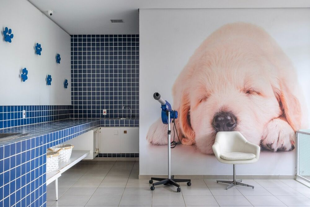 Apartamento, 3 quartos, 77 m² - Foto 3