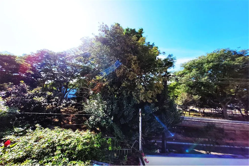 Casa, 4 quartos, 165 m² - Foto 4