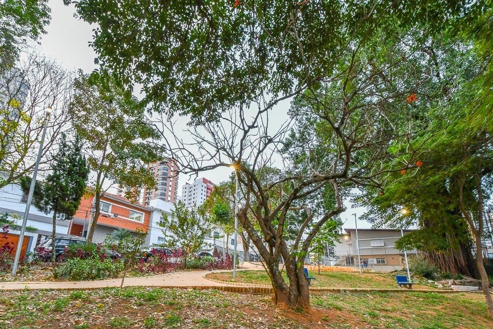 Casa, 4 quartos, 290 m² - Foto 9