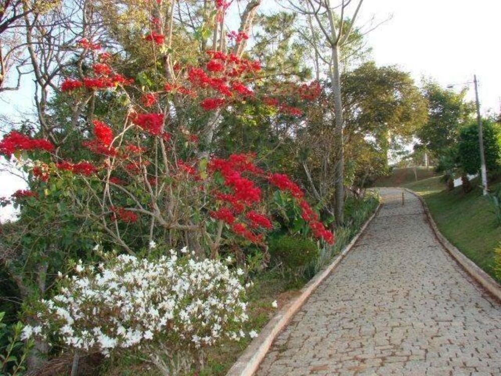 Sítio à venda com 5 quartos, 600m² - Foto 2