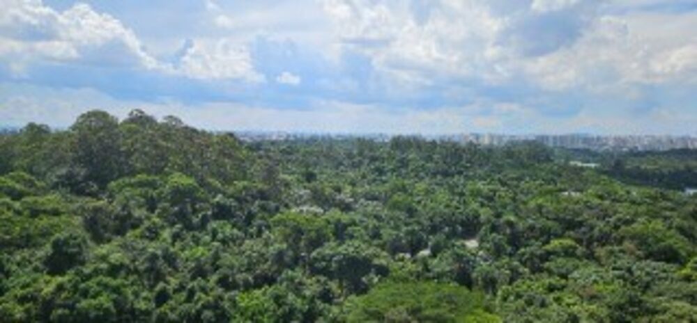 Apartamento, 2 quartos, 53 m² - Foto 2