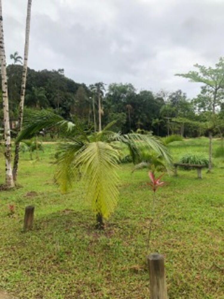 Sítio à venda com 4 quartos, 300m² - Foto 7