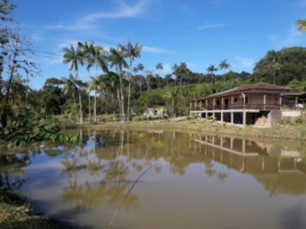 Sítio à venda com 4 quartos, 300m² - Foto 3